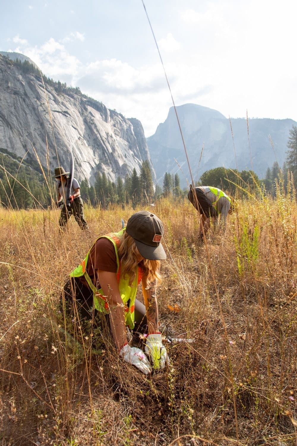 Environmental & Social Development Organizations
