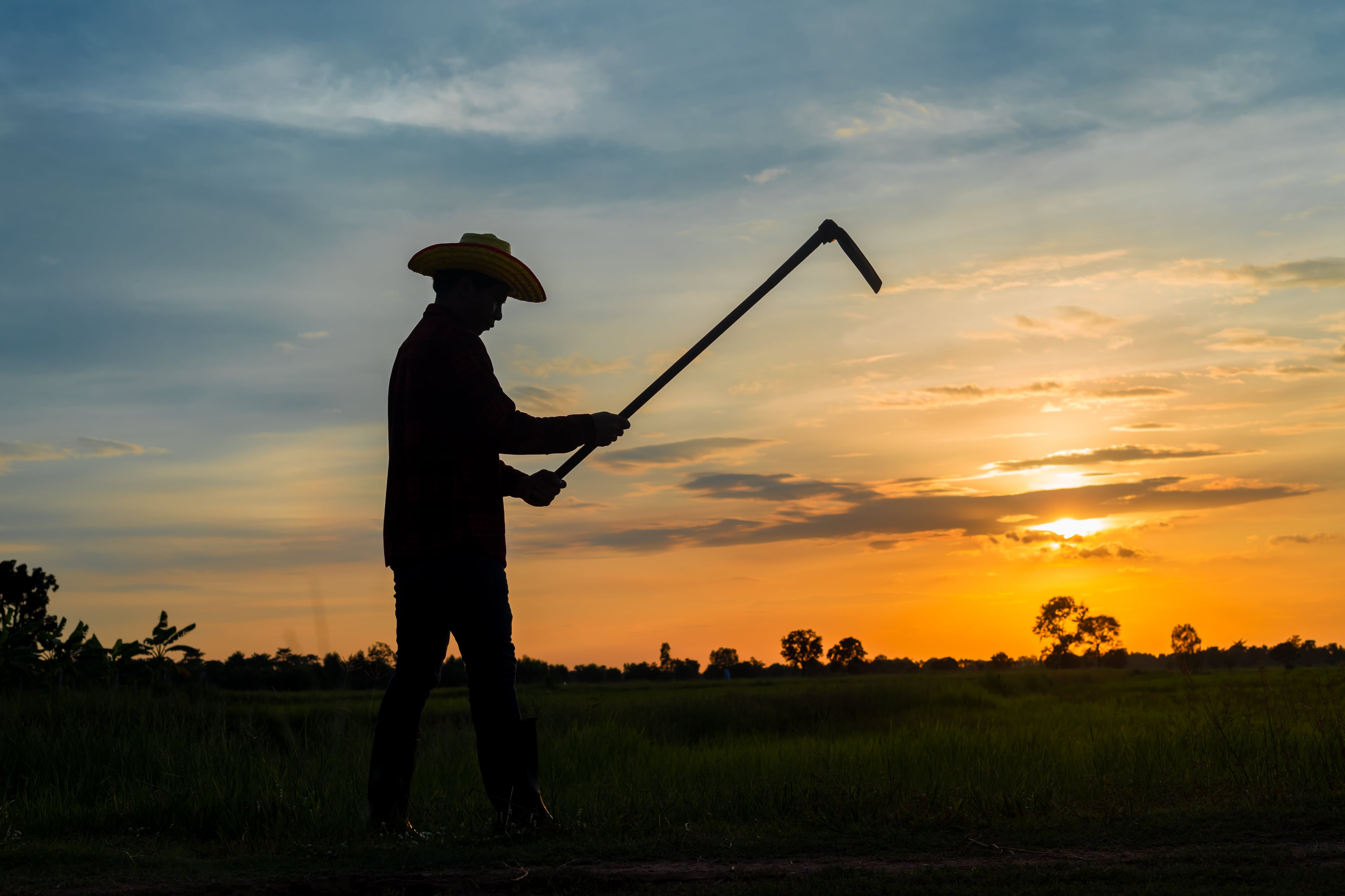 Farmer silhouette at sunset